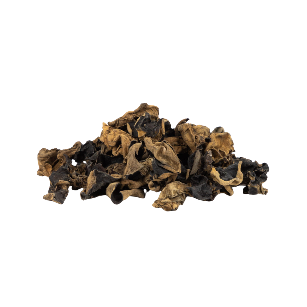 Champignon Noir فطر أسود